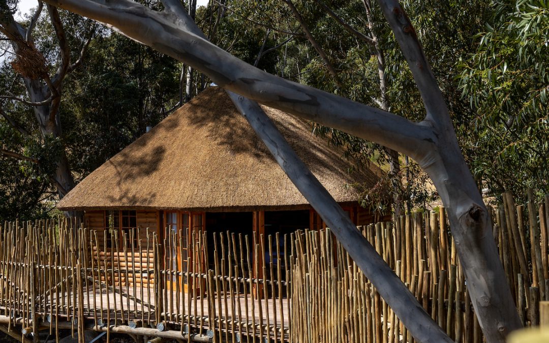 A LUXURIOUS ESCAPE – THE TREE HOUSE AT JOURNEY’S END 