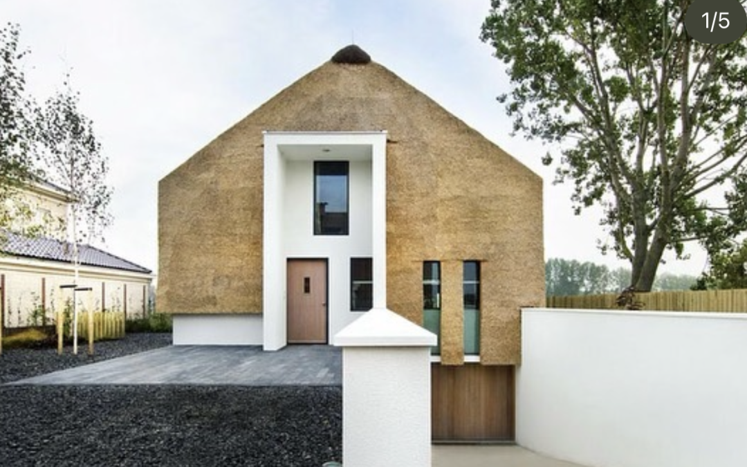 Reimagining Thatch: Innovative Designs for South Africa